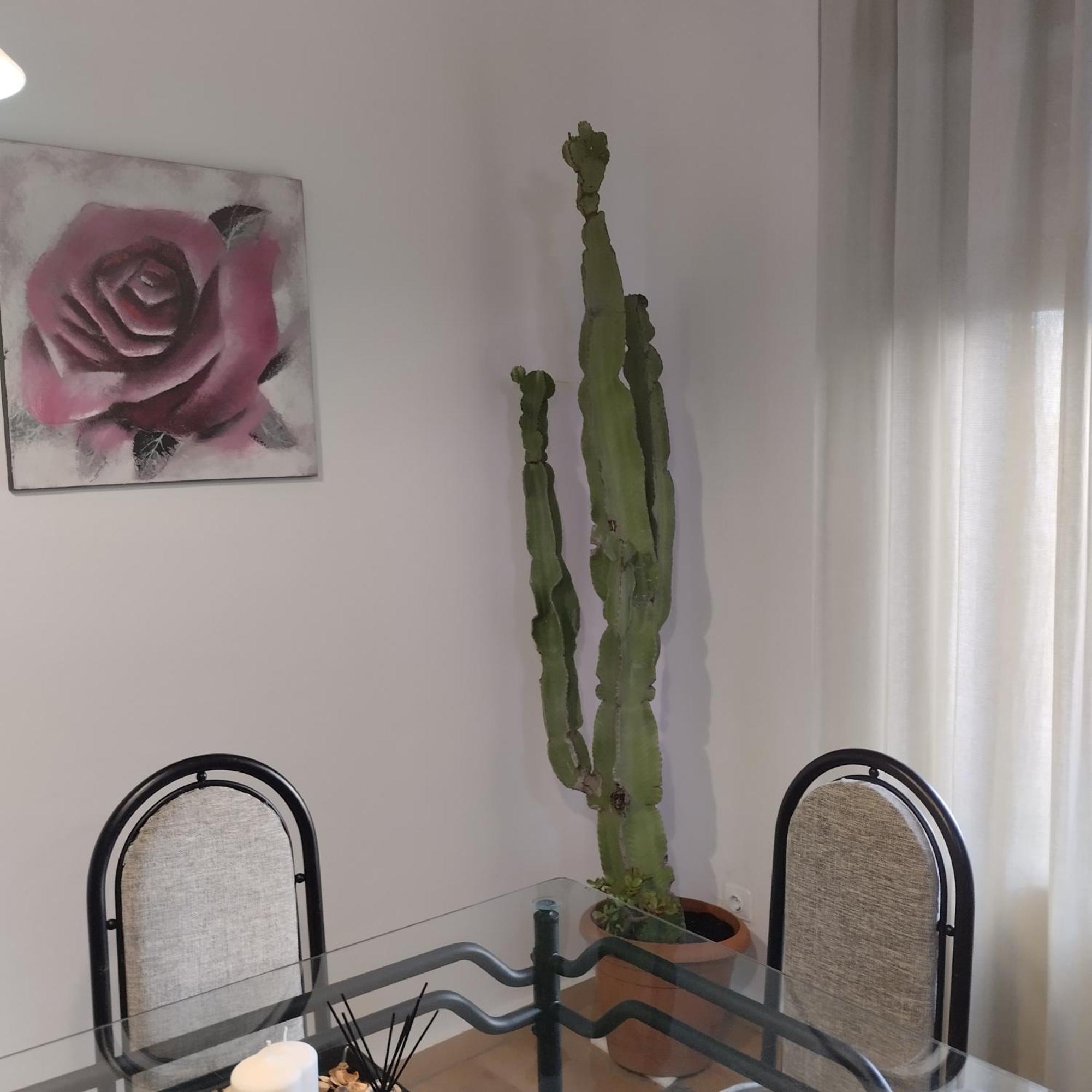 Apartamento Esperanza De La Yedra Jerez de la Frontera Exterior foto
